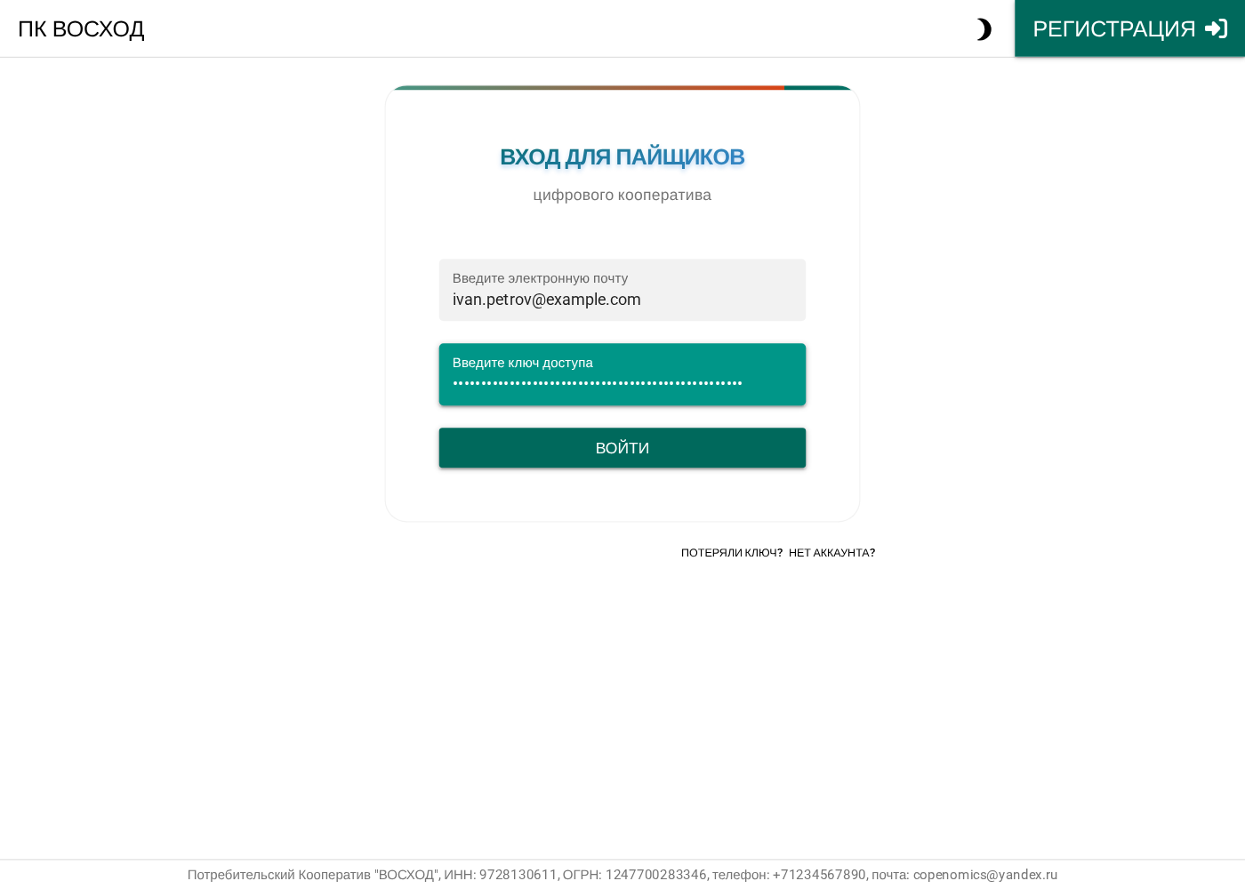 Email заполнен, ключ замаскирован точками